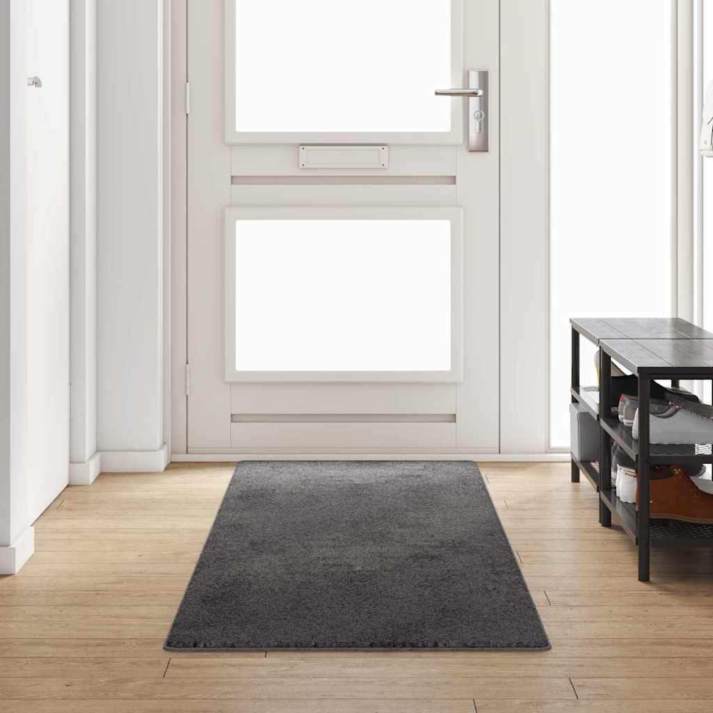 Vidaxx tapis de passage gris 80 x 300 cm 100% polypropylène touffe
