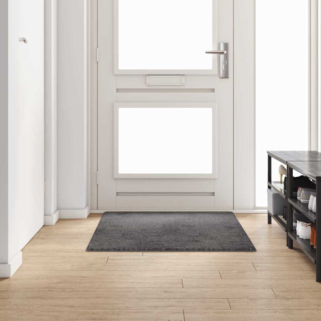 Vidaxx tapis de passage gris 100 x 150 cm 100% polypropylène touffe