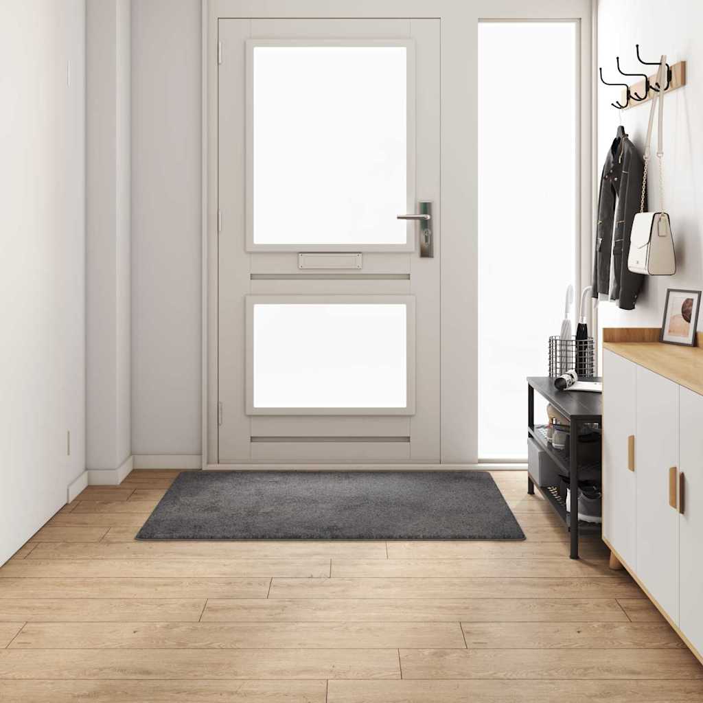 Vidaxx tapis de passage gris 100 x 150 cm 100% polypropylène touffe