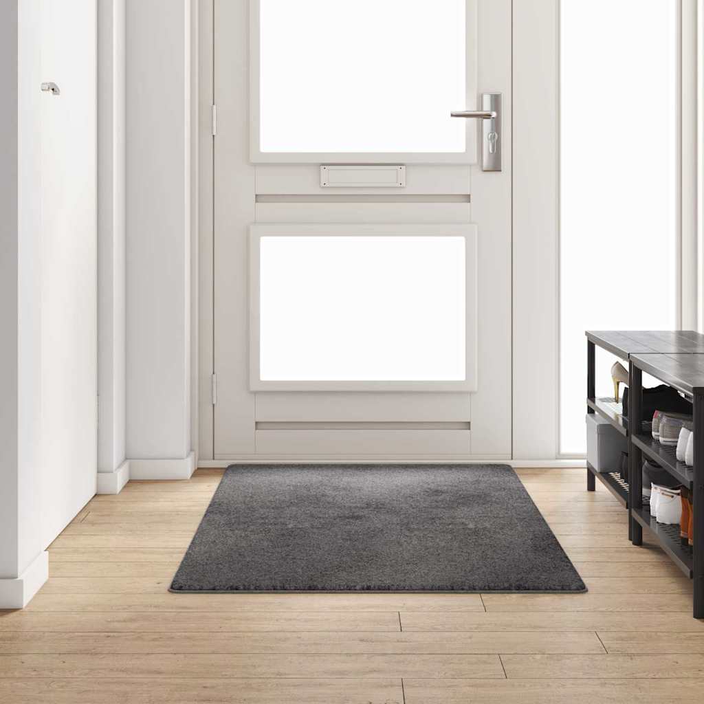 Vidaxx tapis de passage gris 100 x 200 cm 100% polypropylène touffe