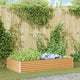 Jardinière surélevée Vidaxl 195 x 100 x 36 cm acier galvanisé