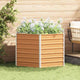 Vidaxx lit de jardin surélevé marron clair 129 x 129 x 77 cm