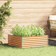 Jardinière surélevée Vidaxl 98 x 100 x 36 cm acier galvanisé