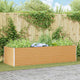 Jardinière surélevée Vidaxl 290 x 100 x 68 cm acier galvanisé