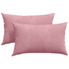 VidaXL coussins de canapé 2 pièces rose 50 x 30 cm tissu corde
