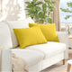 VidaXL coussins de canapé 2 pcs tissu jaune clair 60 x 40 cm