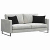 VidaXL coussins de canapé 2 pièces noir 60 x 40 cm tissu corde