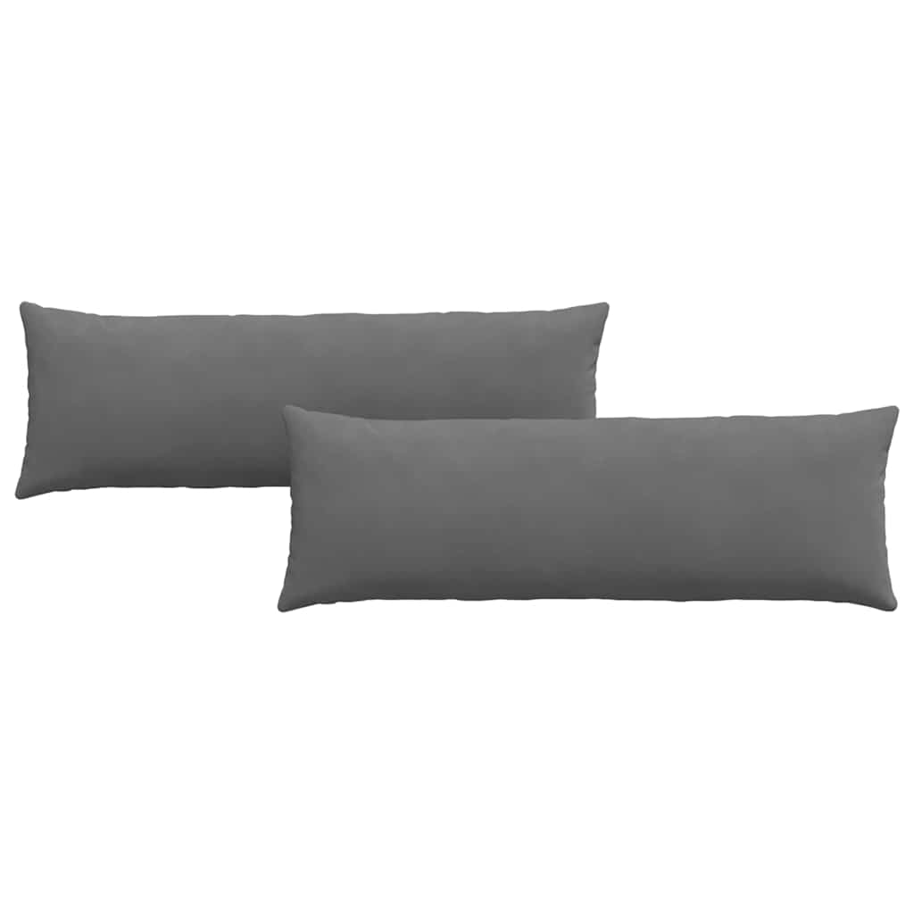 VidaXL coussins de canapé 2 pièces tissu gris foncé 120 x 40 cm