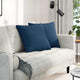 VidaXL coussins de canapé 2 pcs bleu 50 x 50 cm tissu