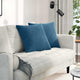 VidaXL coussins de canapé 2 pièces bleu 50 x 50 cm tissu corde