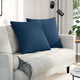 VidaXL coussins de canapé 2 pcs bleu 60 x 60 cm tissu
