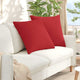 VidaXL coussins de canapé 2 pcs rouge 60 x 60 cm tissu