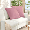 VidaXL coussins de canapé 2 pièces rose 60 x 60 cm tissu corde