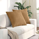 VidaXL coussins de canapé 2 pièces marron 60 x 60 cm tissu corde