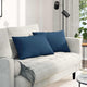 VidaXL coussins de canapé 2 pcs bleu 60 x 40 cm tissu