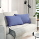 VidaXL coussins de canapé 2 pcs jean bleu 60 x 40 cm tissu