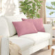 VidaXL coussins de canapé 2 pièces rose 60 x 40 cm tissu corde