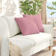 VidaXL coussins de canapé 2 pièces rose 50 x 50 cm tissu corde