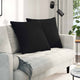 VidaXL coussins de canapé 2 pièces tissu noir 60 x 60 cm