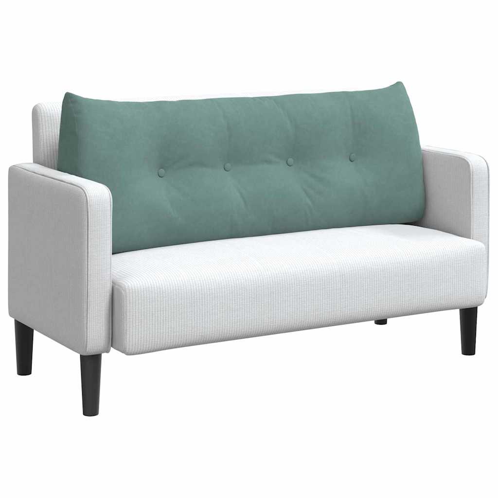 Vidaxx coussin de dossier vert d'eau 120 x 24 x 50 cm velours