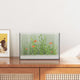 Vidaxx aquarium avec rangement transparent 30 x 20 x 20 cm verre