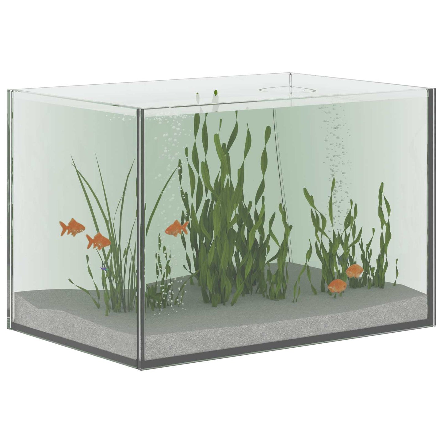 Vidaxx aquarium avec rangement transparent 30 x 20 x 20 cm verre