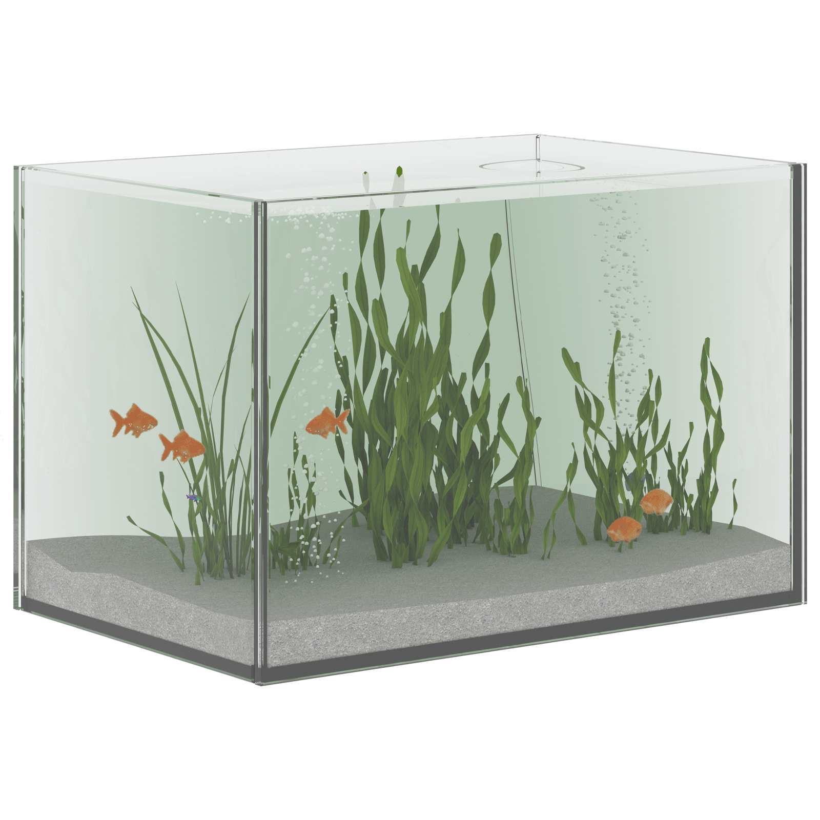 Vidaxx aquarium avec rangement transparent 30 x 20 x 20 cm verre
