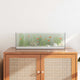 Vidaxx aquarium avec rangement transparent 60 x 20 x 20 cm verre