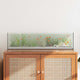 Vidaxx aquarium avec rangement transparent 80 x 20 x 20 cm verre