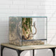 Vidaxx terrarium avec rangement transparent 30 x 30 x 30 cm verre