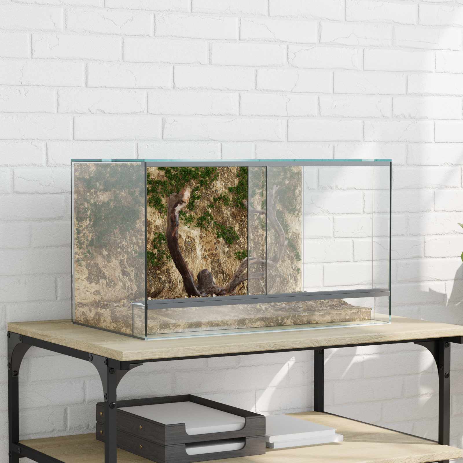 Vidaxx terrarium avec rangement transparent 50 x 30 x 30 cm verre