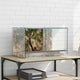 Vidaxx terrarium avec rangement transparent 50 x 30 x 30 cm verre
