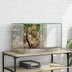 Vidaxx terrarium avec rangement transparent 60 x 40 x 40 cm verre