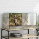 Vidaxx terrarium avec rangement transparent 80 x 40 x 40 cm verre