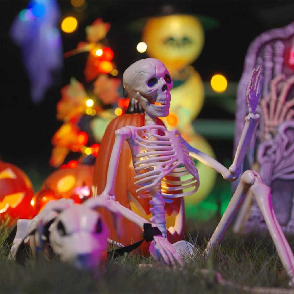 Vidaxl squelette de décoration d'Halloween 2 pcs polypropylène blanc