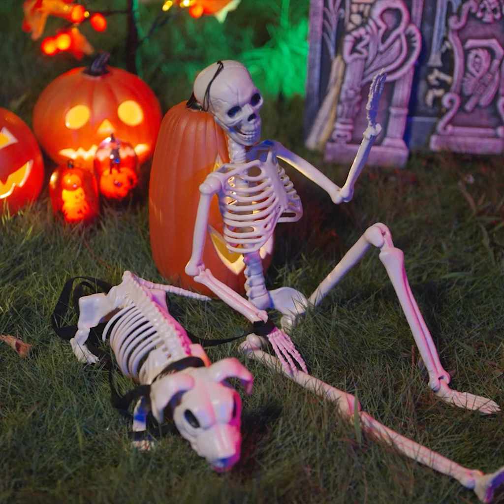 Vidaxl squelette de décoration d'Halloween 2 pcs polypropylène blanc