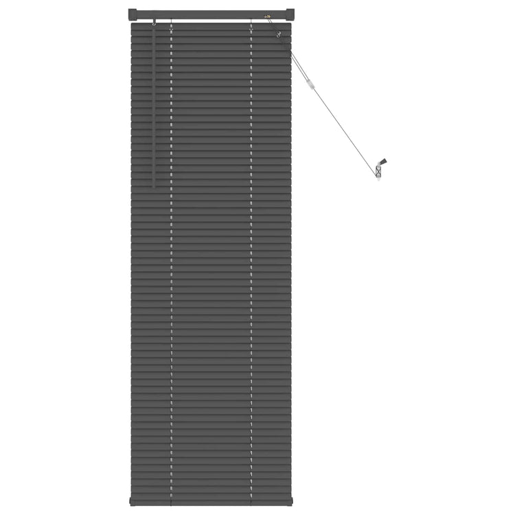 Vidaxx store vénitien réglable gris argenté 150 x 40 cm PVC