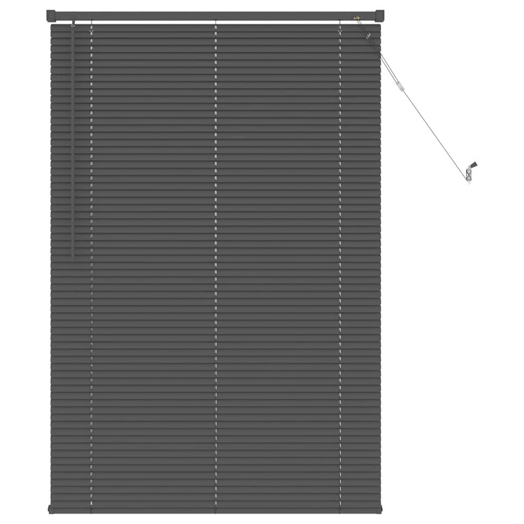 Vidaxx store vénitien réglable gris argenté 150 x 80 cm PVC