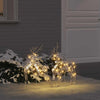 VidaXL LED renne avec 40 LED 2 pcs capuchon blanc chaud