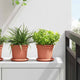 Vidaxl pot de fleur rond 6 pcs rouge brique ø 15 x 12 cm en plastique