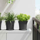 Vidaxx pot de fleur rond 6 pcs noir ø 19 x 16 cm en plastique
