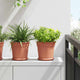 Vidaxl pot de fleur rond 24 pcs rouge brique ø 19 x 16 cm en plastique