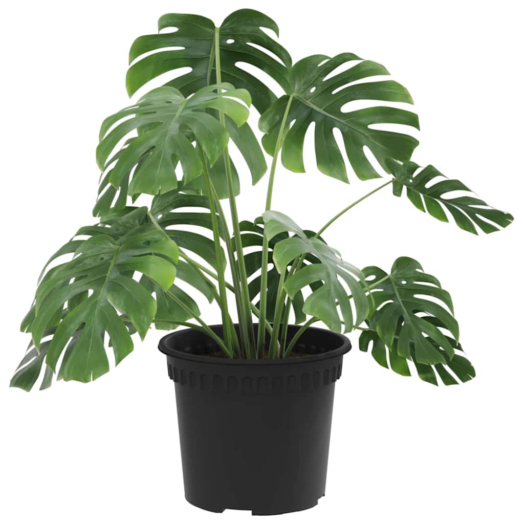 Vidaxl pot de fleur rond 24 pcs noir ø 12,5 x 10 cm en plastique