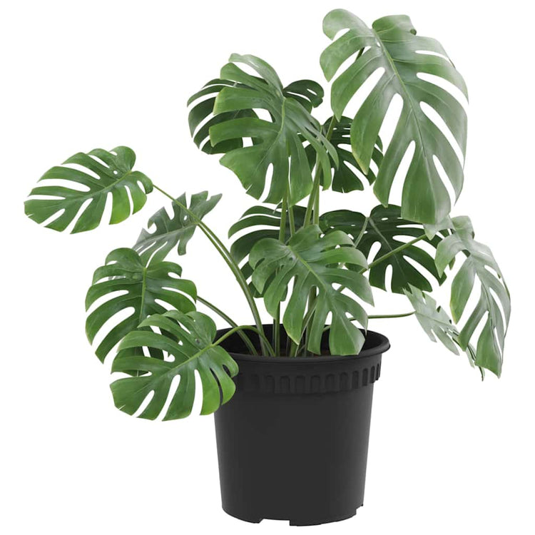 VidaXL pot de fleur rond 24 pcs noir ø 15 x 12 cm en plastique