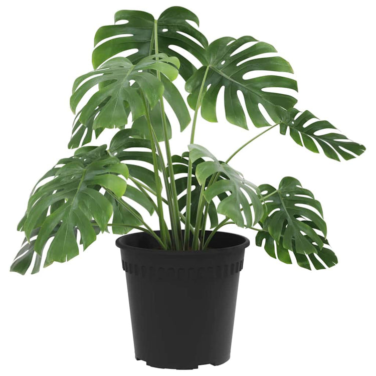Vidaxl pot de fleur rond 24 pcs noir ø 17 x 14 cm en plastique