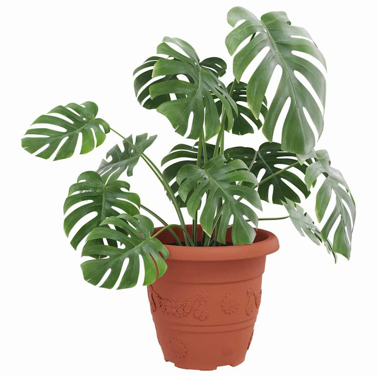 VidaXL pot de fleur rond 6 pcs rouge brique ø 26 x 21,5 cm plastique