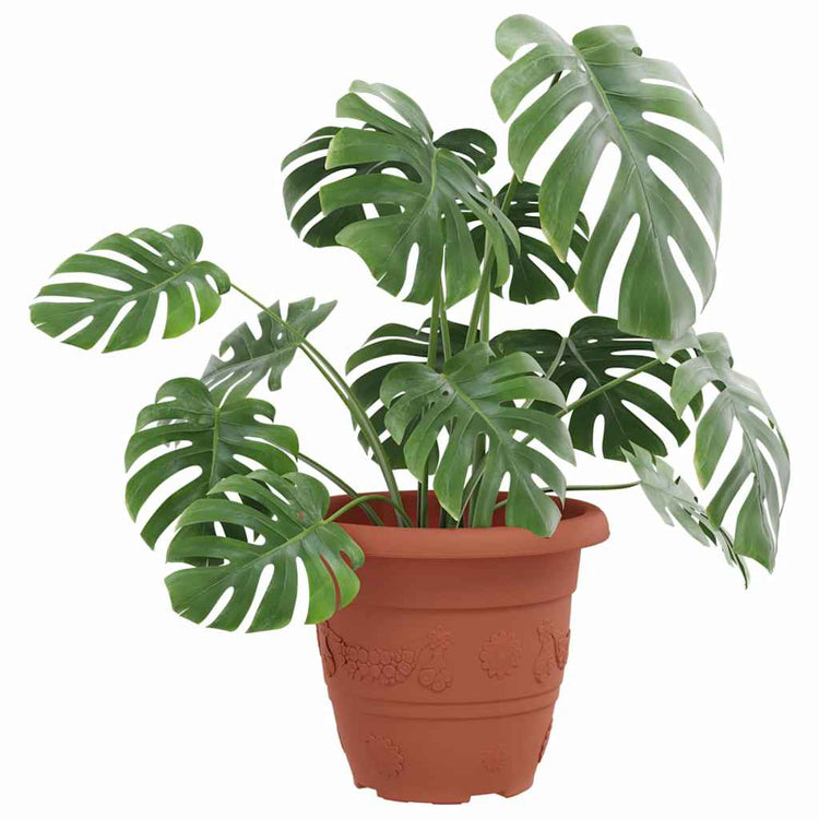 Vidaxl pot de fleur rond 24 pcs rouge brique ø 26 x 21,5 cm en plastique