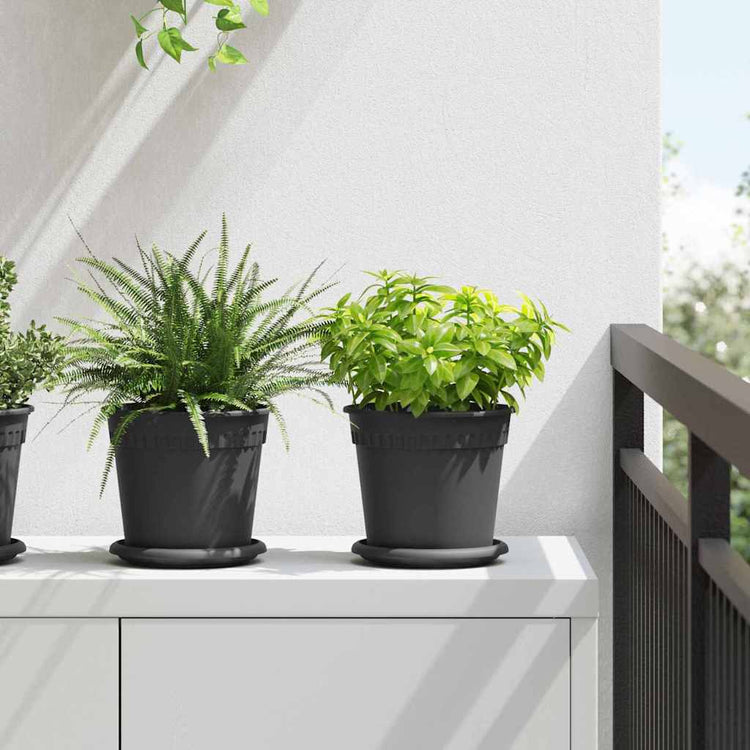 Vidaxl bols à fleurs ronds 6 pcs noir ø 15,5 x 2 cm en plastique