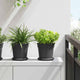 Vidaxl bols à fleurs ronds 6 pcs noir ø 15,5 x 2 cm en plastique