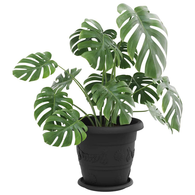 Vidaxl bols à fleurs ronds 6 pcs noir ø 19 x 2 cm en plastique